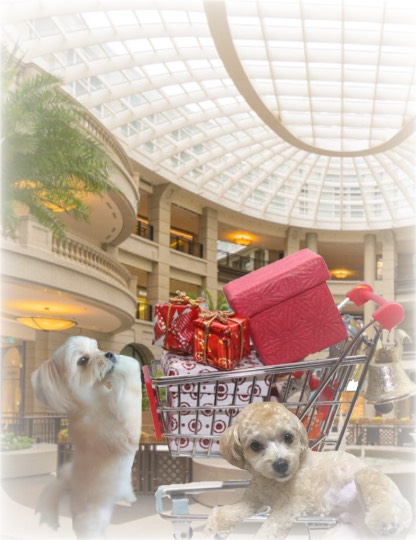 生き物ルーム第29