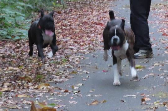 生き物ルーム28