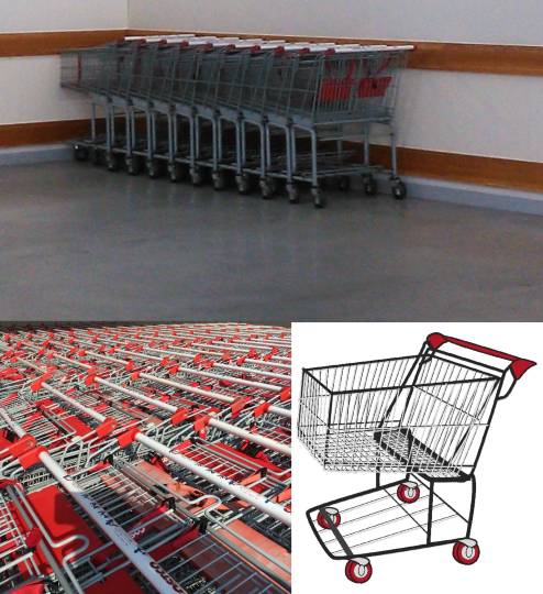 生き物ルーム第27