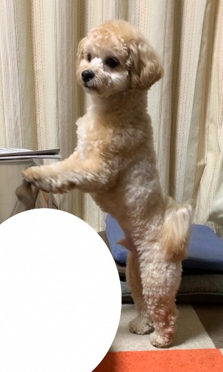 生き物ルーム第29