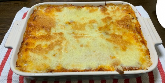 生き物ルーム第29