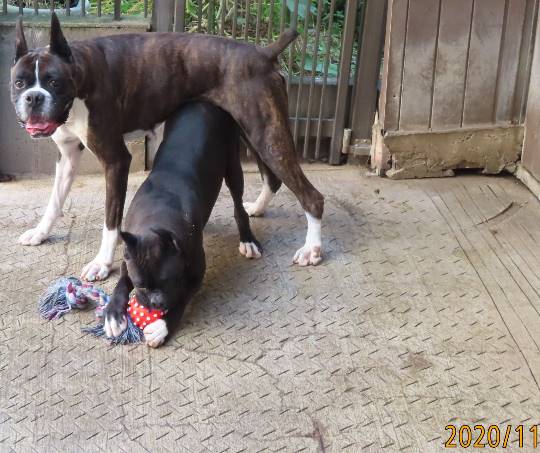 生き物ルーム第29