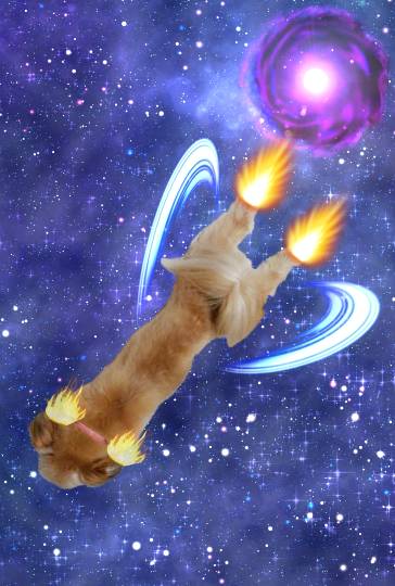 生き物ルーム第26