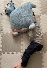 トリケラトプスのブランケットセット