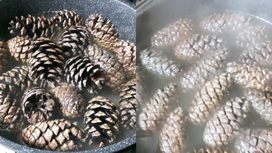 花鳥風月に心を込めて...　(エアー花トピ2)