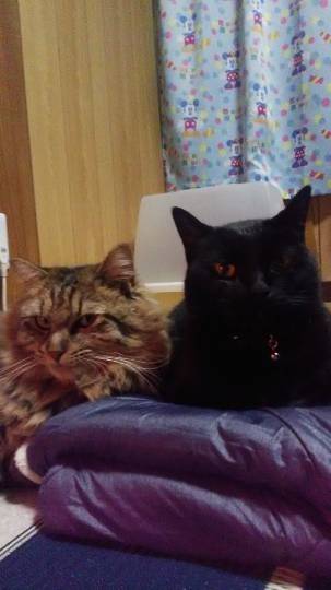 生き物ルーム第29