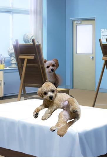 生き物ルーム第27