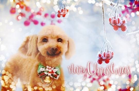 生き物ルーム第29