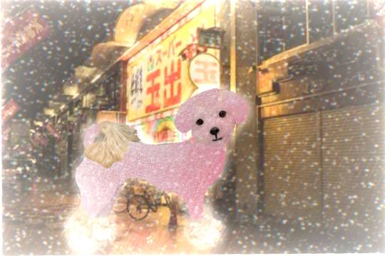 生き物ルーム28