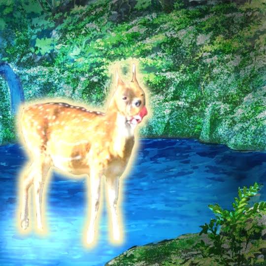 生き物ルーム第29