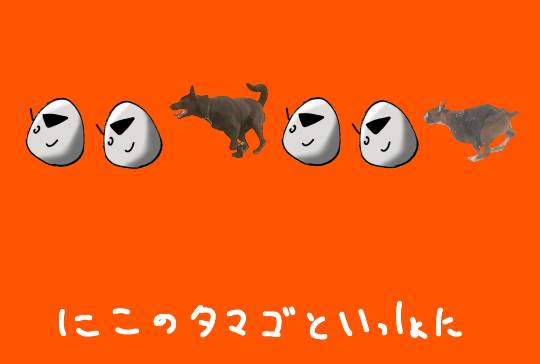 【料理トピ】知り隊　食い隊　調べ隊　3