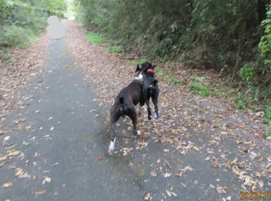 生き物ルーム28