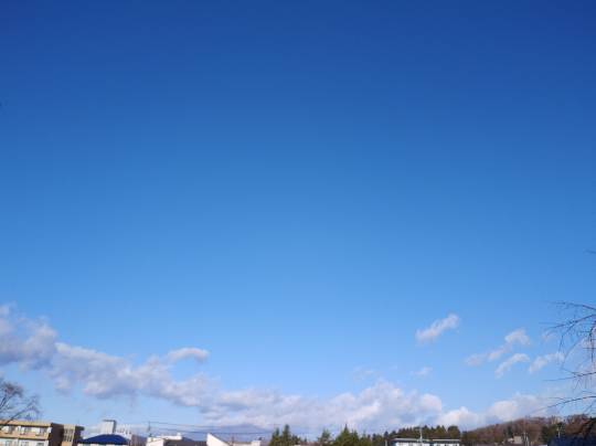 コストコユーザーのドンキ♡♡ロピア 雑談