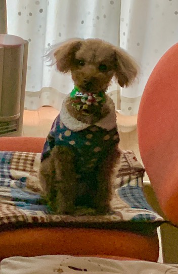 生き物ルーム第29