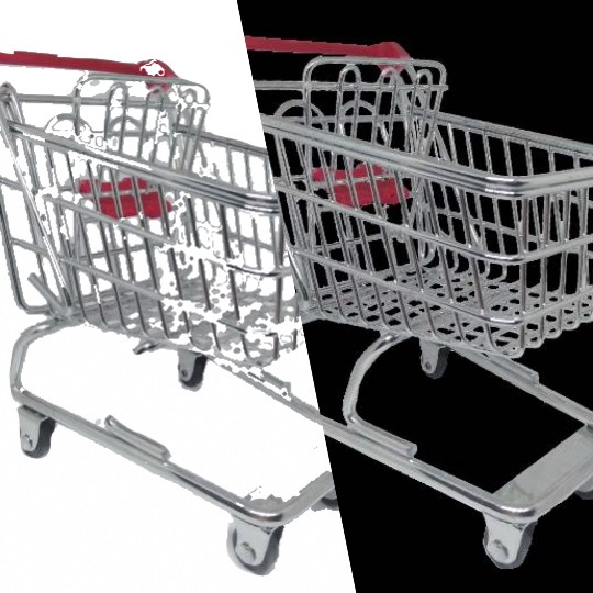 生き物ルーム第27