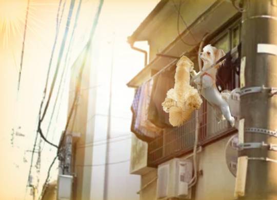 生き物ルーム28