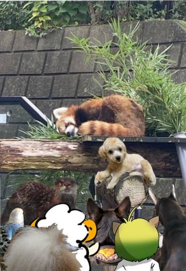 生き物ルーム第27