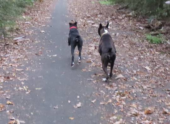 生き物ルーム28