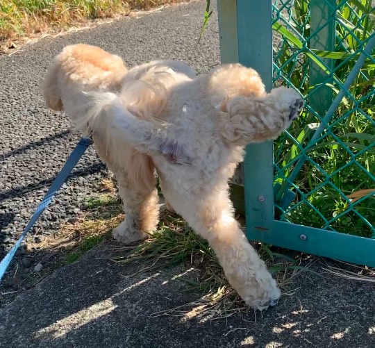 生き物ルーム28