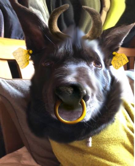 生き物ルーム第29