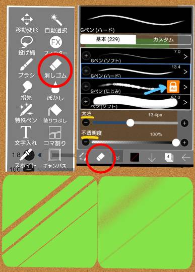 生き物ルーム第29