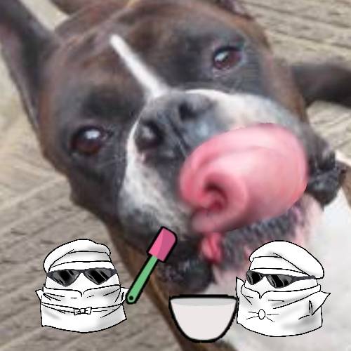 生き物ルーム第26