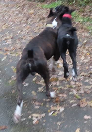 生き物ルーム28