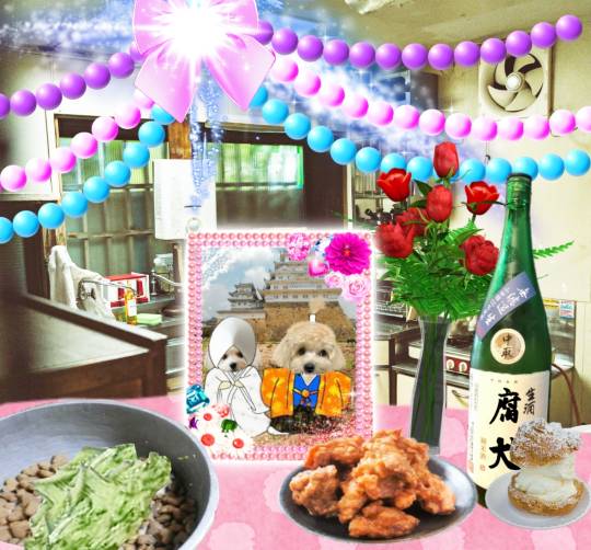 生き物ルーム第27