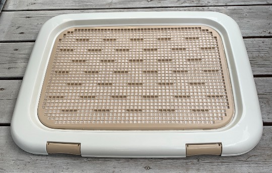 生き物ルーム第26