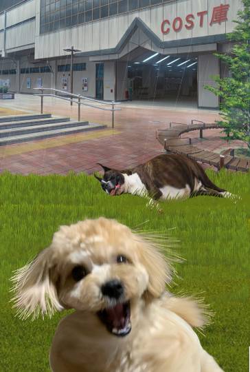 生き物ルーム28