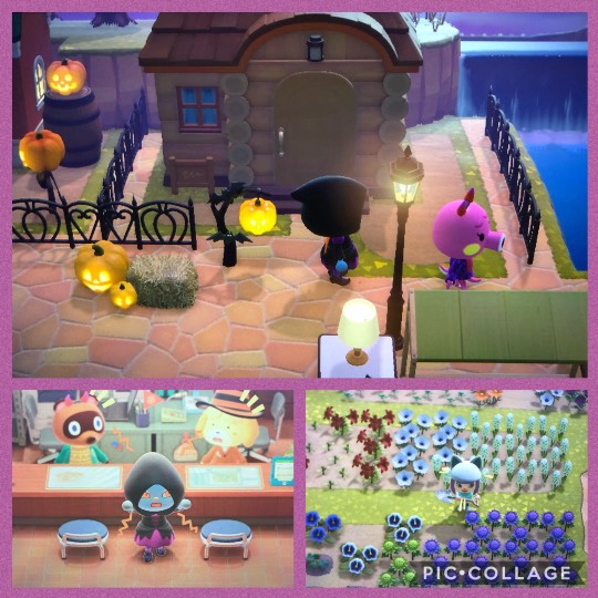 あつまれゲーム好きさんの森Ⅵ 雑談もあるばってん