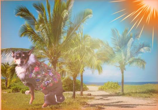 生き物ルーム28