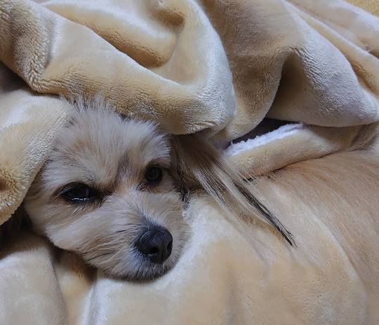 生き物ルーム第29