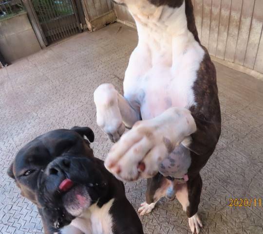 生き物ルーム第27