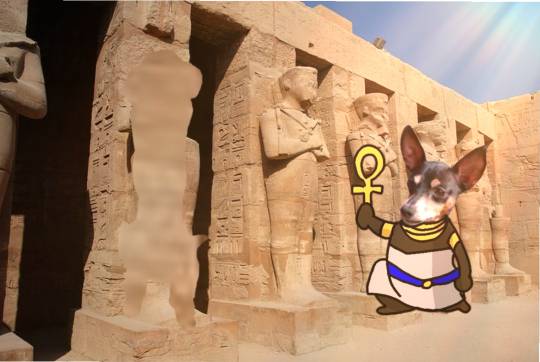 生き物ルーム第26