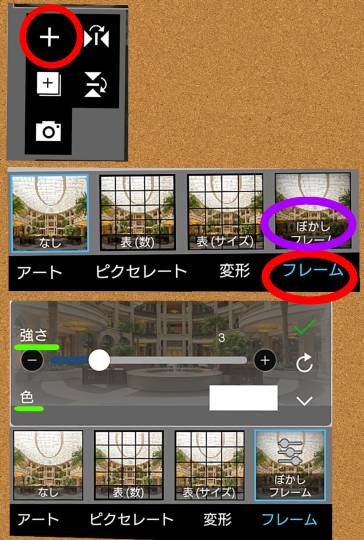 生き物ルーム第29