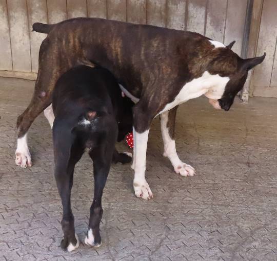 生き物ルーム第27