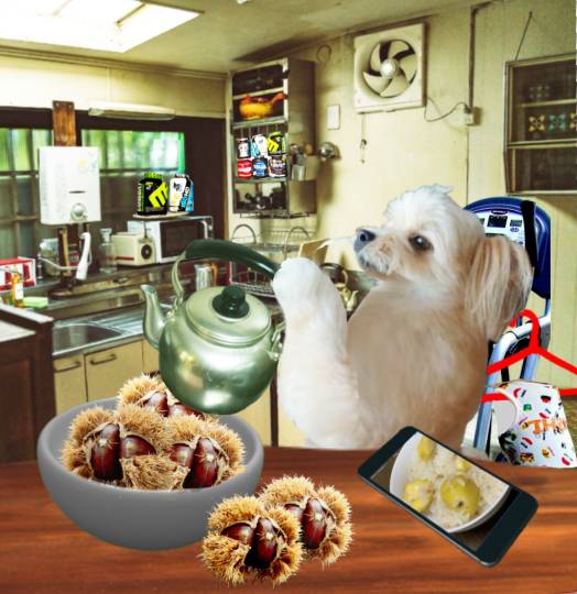 生き物ルーム28