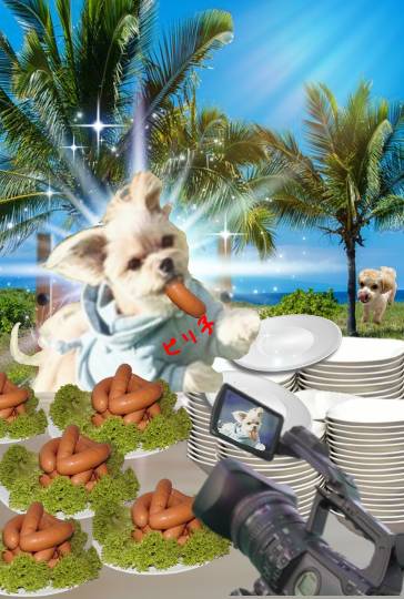 生き物ルーム28