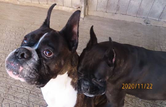 南関東トピック Vol.1.5.1