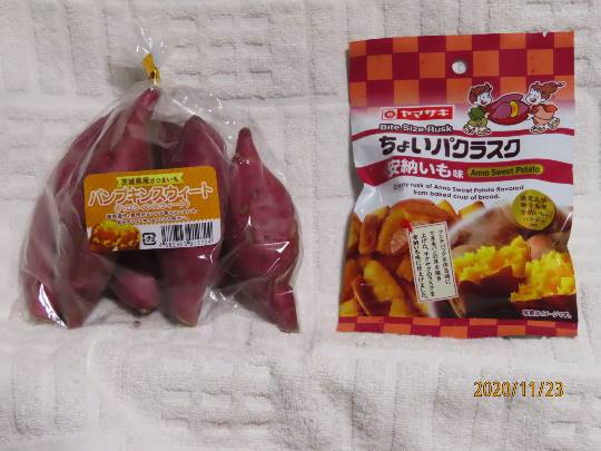 南関東トピック Vol.1.5.1