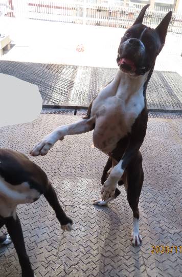 生き物ルーム第29