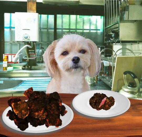 生き物ルーム第27