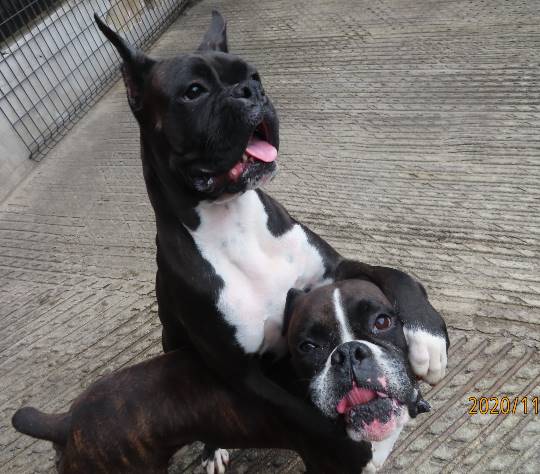 生き物ルーム28