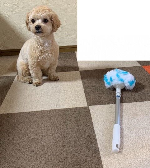 生き物ルーム28