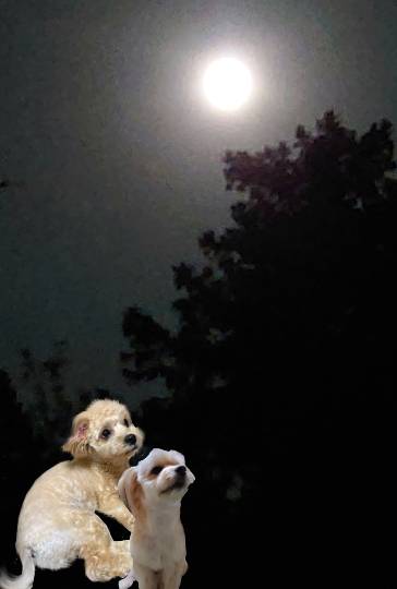 生き物ルーム第26