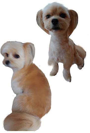 生き物ルーム第27