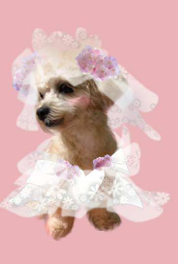 生き物ルーム第27