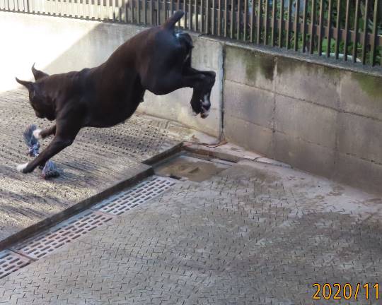 生き物ルーム第29