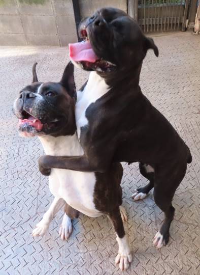 生き物ルーム第27